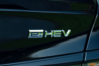 tail-gate---logo-99
